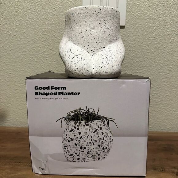 New Good Form Shaped Planter Bundle of Two - Picture 15 of 15